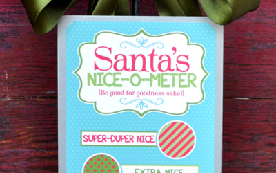 Santa’s Naughty or Nice Christmas Kit